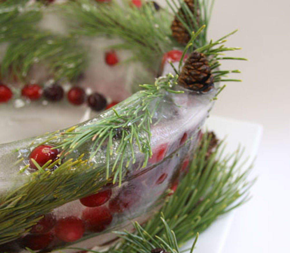 Cranberry and Pinecone Ice Bowl