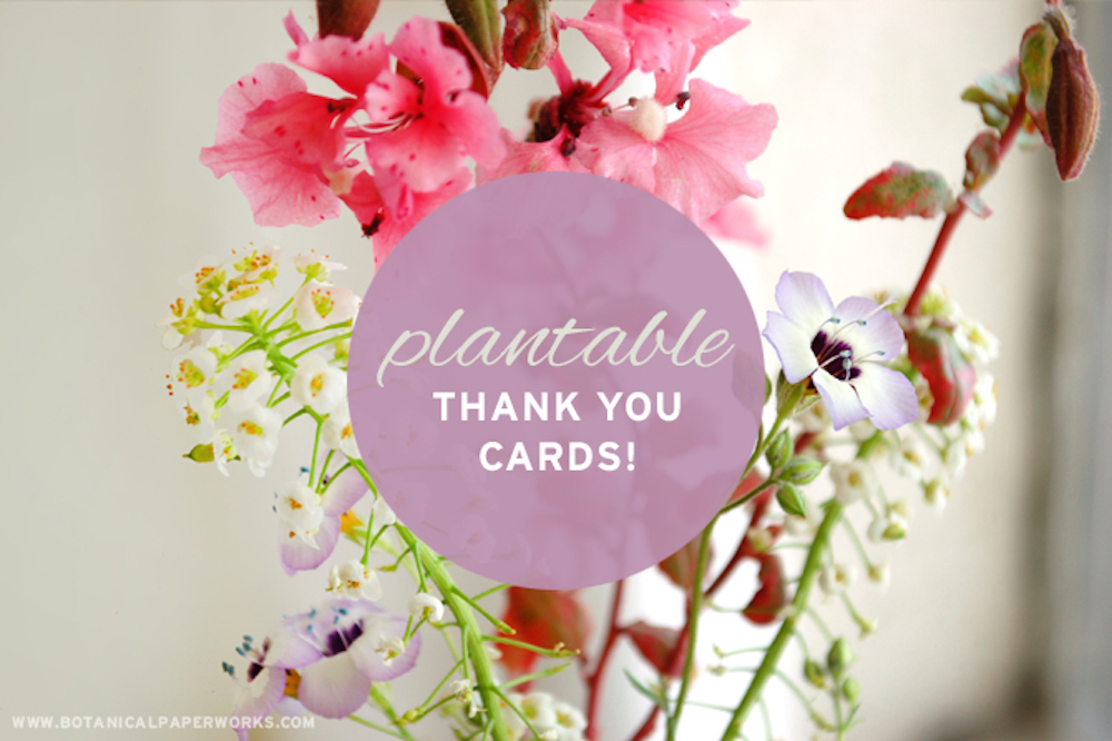 Find out how seed paper cards that grow flowers can help you thank friends and family no matter what the occasion may be.