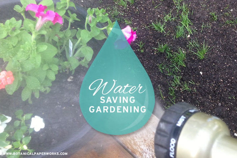 water saving gardening tips