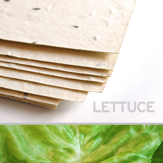This eco-friendly 11 x 17 Cream Lettuce Plantable Seed Paper is uniquely textured.