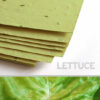 This 11 x 17 Green Lettuce Plantable Seed Paper is embedded with NON-GMO seeds that grow into actual lettuce while leaving no waste behind.