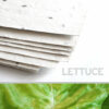 Each sheet of 11 x 17 White Lettuce Plantable Seed Paper is embedded with NON-GMO seeds that grow fresh lettuce.