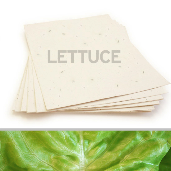 This eco-friendly 8.5 x 11 Cream Lettuce Plantable Seed Paper is infused with NON-GMO seeds.