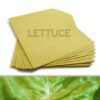 This biodegradable 8.5 x 11 Green Lettuce Plantable Seed Paper is embedded with NON-GMO seeds.