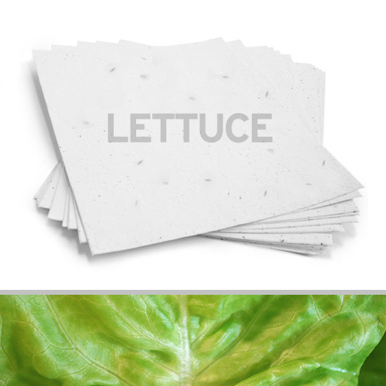 Plant this eco-friendly 8.5 x 11 White Lettuce Plantable Seed Paper to grow fresh lettuce.