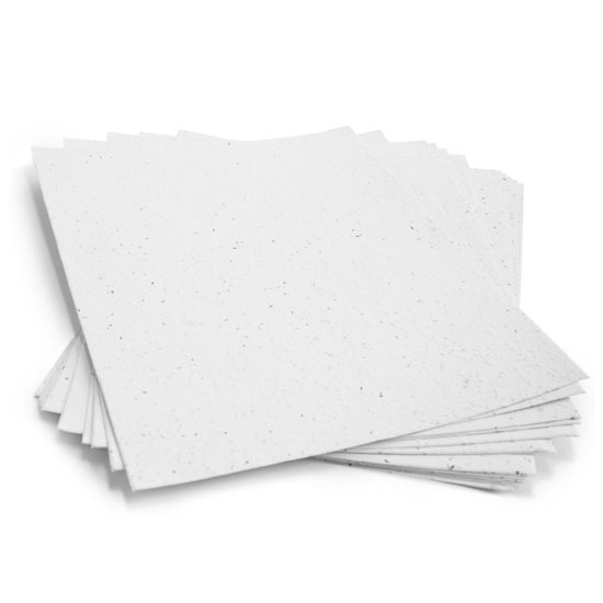 This A4 White Plantable Seed Paper grows into a colorful blend of non-invasive wildflowers and no waste is left behind.