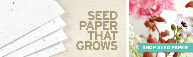 Learn more about this special paper made by Botanical PaperWorks that uses post-consumer materials and is embedded with seeds so that it will grow when planted!
