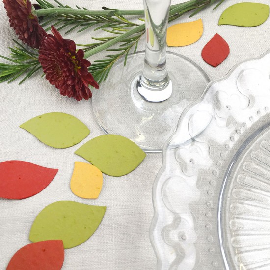 Add some charm to your table settings this season with beautiful autumn leaf seed paper confetti that won't leave any waste behind.