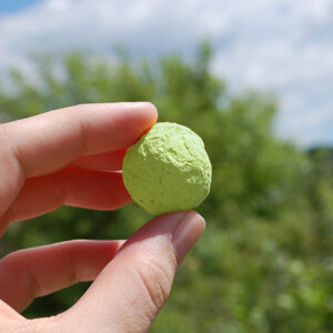 Grow the ultimate garden of basil, parsley and oregano with these Herb Bulk Seed Bombs.