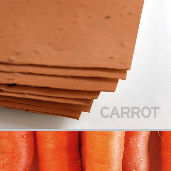 This 11 x 17 Burnt Orange Carrot Plantable Seed Paper can be planted in a pot or garden to grow actual carrots.