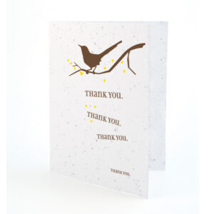 Song plantable thank you cards