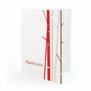Birch plantable thank you cards