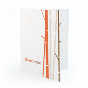 Birch plantable thank you cards