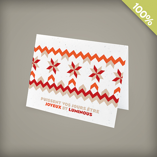 French Nordic Pattern Corporate Holiday Cards