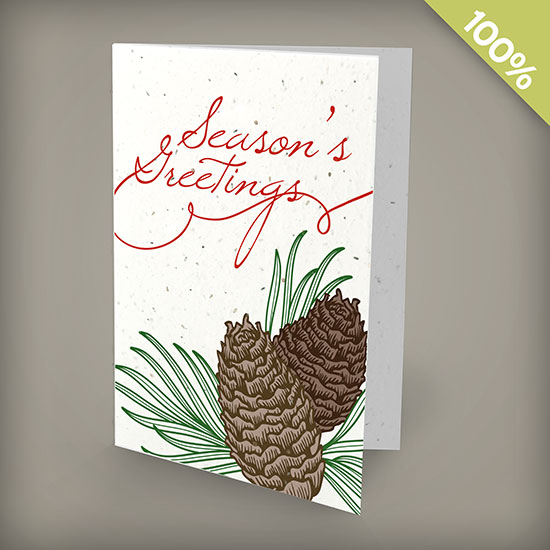 Pinecone season's greetings plantable personalized christmas cards