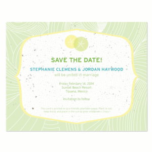 sand dollar plantable save the date cards