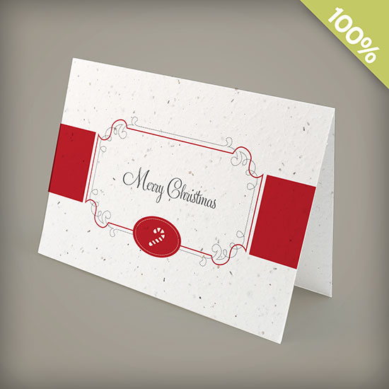 Candy Cane Personalized Christmas Seed Cards