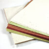 Take your crafting to the next level and grow a whole garden of goodness with these Veggie & Herb Seed Paper Packages.
