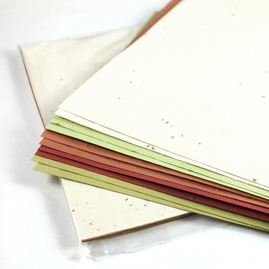Take your crafting to the next level and grow a whole garden of goodness with these Veggie & Herb Seed Paper Packages.