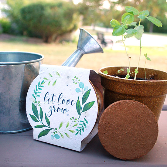 These beautiful biodegradable Herb Planting Pot Wedding Favors include everything required to grow tasty herbs with zero-waste left behind!