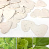 Celebrate with biodegradable confetti that will grow into herbs rather than leaving waste behind!
