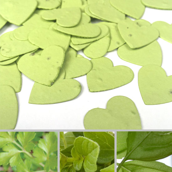 Plant love with this seed confetti and grow a variety of herbs to cook with.