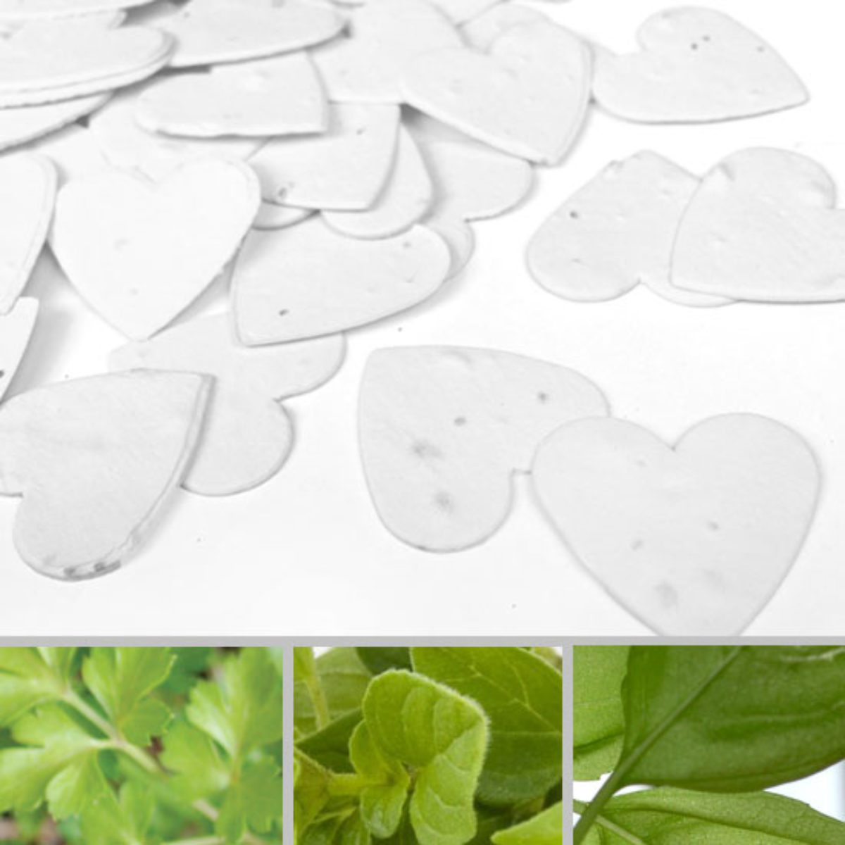 White Heart Shaped Wildflower Seed Recycled Paper Eco Plantable Confetti 