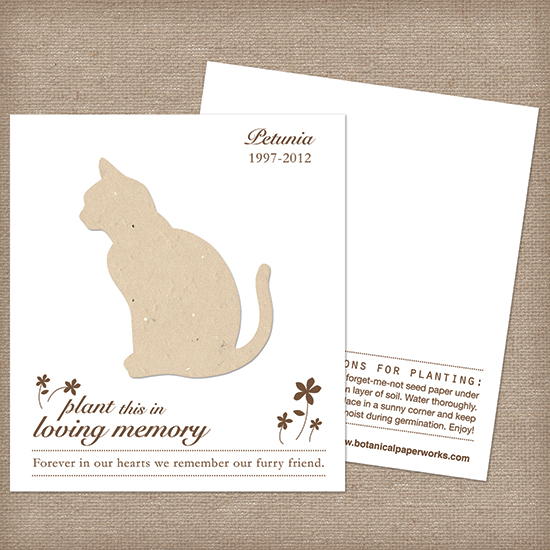 Plantable cat memorial cards