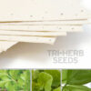 This special 11 x 17 Cream Edible Tri-Herb Seed Paper grows herbs when you plant it.