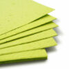 This eco-friendly 11 x 17 Lime Green Plantable Seed Paper is embedded with wildflower seeds.