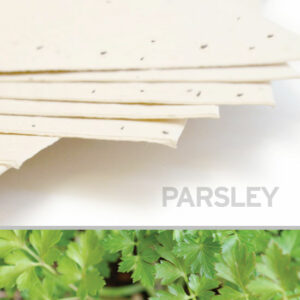 Grow a lovely garden of savory parsley when you plant this 11 x 17 Cream Parsley Plantable Seed Paper.