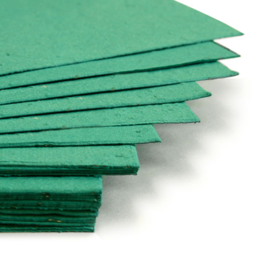 This eco-friendly 11 x 17 Teal Plantable Seed Paper is embedded with wildflower seeds.