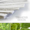 Grow a trio of herbs when you plant this 11 x 17 White Edible Tri-Herb Plantable Seed Paper.