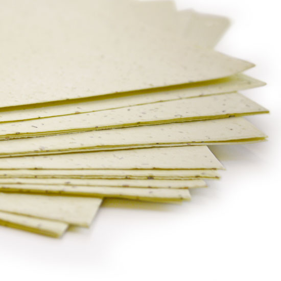Plant this 11 x 17 Pastel Yellow Plantable Seed Paper to grow a bouquet of wildflowers.