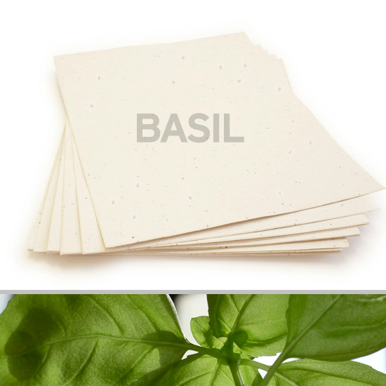 Plant this 8.5 x 11 Cream Basil Plantable Seed Paper to grow a garden of savory basil.