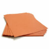 Grow a bouquet of wildflowers with this 8.5 x 11 Burnt Orange Plantable Seed Paper.