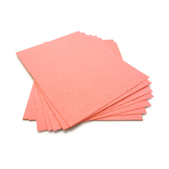 This eco-friendly 8.5 x 11 Coral Plantable Seed Paper is embedded with wildflower seeds.