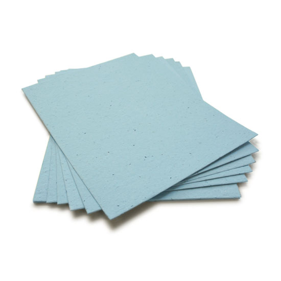 Grow wildflowers when you plant this 8.5 x 11 Cornflower Blue Plantable Seed Paper.