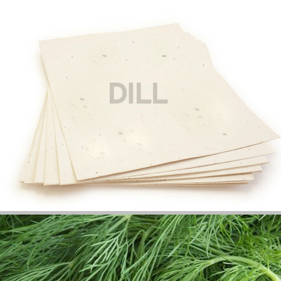 Grow a delicious garden of dill when you plant this 8.5 x 11 Cream Dill Plantable Seed Paper.