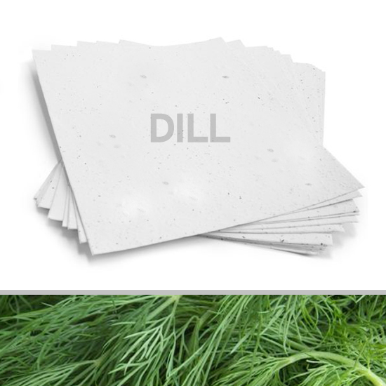 Grow a garden of delicious dill with this 8.5 x 11 White Dill Plantable Seed Paper.