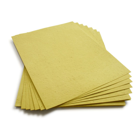 Grow wildflowers with this 8.5 x 11 Olive Green Plantable Seed Paper!
