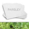Grow a garden of parsley with this 8.5 x 11 White Parsley Plantable Seed Paper.