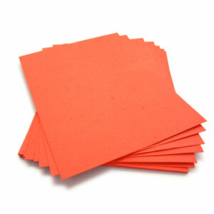 When this 8.5 x 11 Tangerine Plantable Seed Paper is planted, it grows a bouquet of wildflowers.