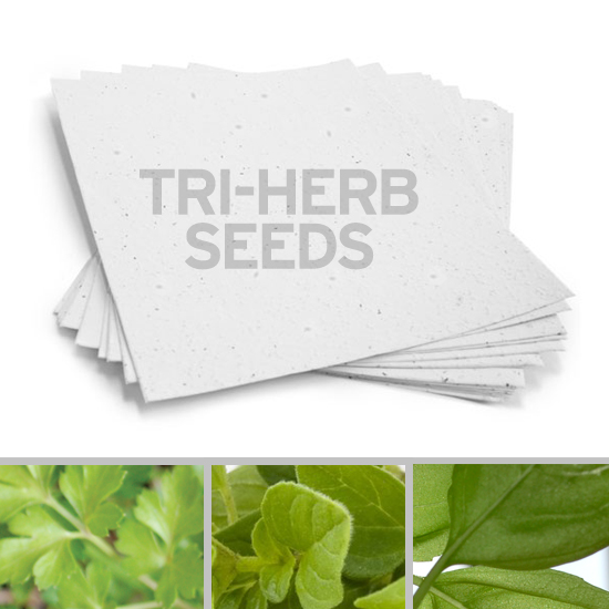 Plant this 8.5 x 11 White Edible Tri-Herb Plantable Seed Paper to grow edible herbs!