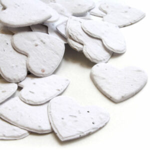 Guests can take this biodegradable confetti in White home to plant and grow wildflowers.