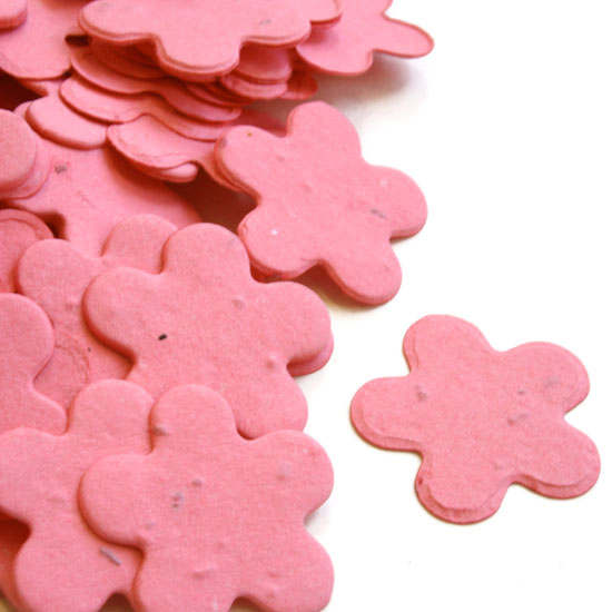 This eco-friendly biodegradable confetti can be taken home with guests to plant!