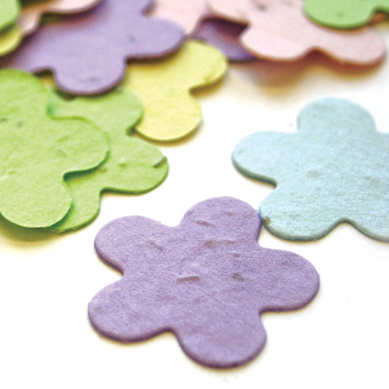 Eco-friendly plantable confetti