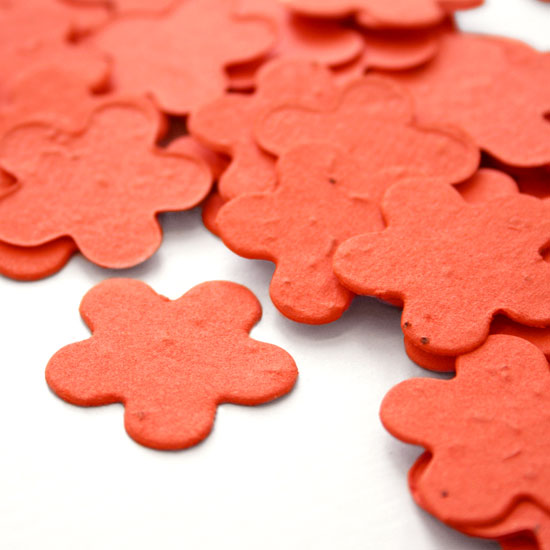 This biodegradable confetti embedded with seeds is perfect for an eco-friendly wedding or a green baby shower.