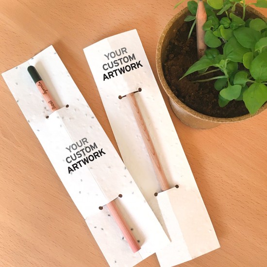 Sprout Pencil With Double-Sided Basil Seed Paper
