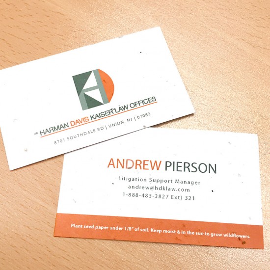 Classic Seed Paper Business Card